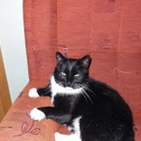 Appartement Im Gruenen